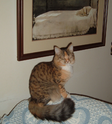 Molly shows her tail